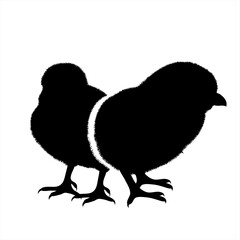 Vector silhouette of couple of chickens on white background. Symbol of farm animal and poultry.