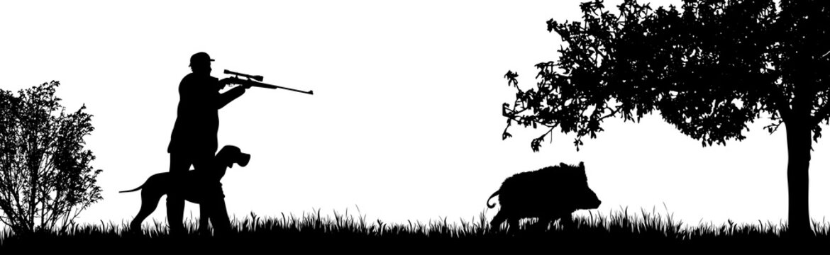 Vector silhouette of hunter with dog hunting wild boar in forest. Symbol of animal and nature.