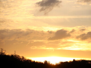 Dark silhouette of trees and cousins against the background of an orange sunset. Evening nature folds to a romantic mood. Warm colors. The region of the temperate climate of the European continent