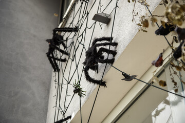 Spiderweb on halloween