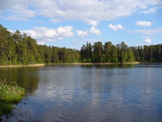 lake in the woods