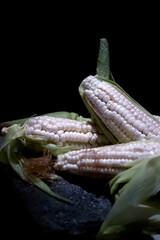 Maíz, elote, mazorca