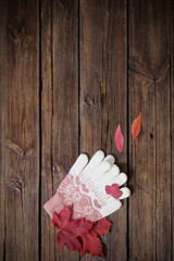 gloves on old wooden background