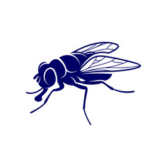 Flies design vector, Illustration Flies design template, Symbol icon