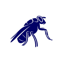 Flies design vector, Illustration Flies design template, Symbol icon