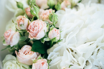 A beautiful soft background of small pink roses and white hortensia, close up view