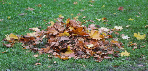 A small pile of fallen autumn leaves on the green grass