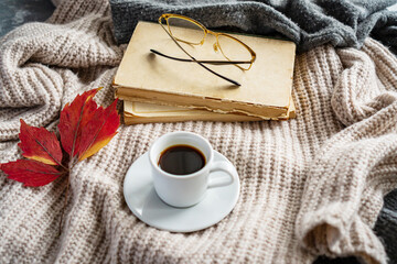 there is a mug of coffee on a knitted sweater, autumn leaves and books lie nearby