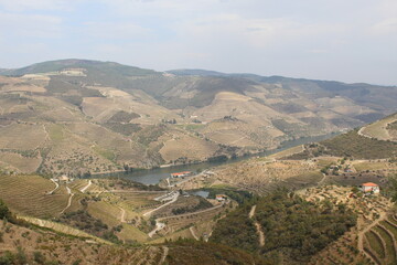 Fototapeta na wymiar View from the top of the mountain in Douro, Régua