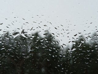 rain drops on window