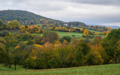 Herbstlandschaft