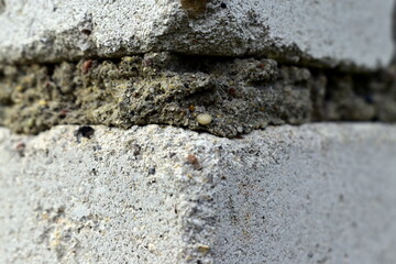 hardened concrete between bricks on the wall