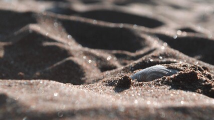 Macro Beach