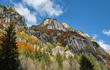 Mountain multicolor woods, in autumn season in Val di Mello, Val Masino , Italy - lombardy.