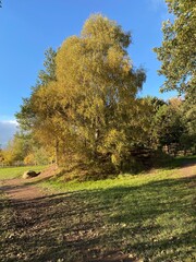 Fototapeta premium Alderford Lake in Whitchurch in the Autumn