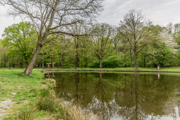 Fototapeta na wymiar Small lake with calm water and mirror reflection with a leaning bare tree on the shore, green vegetation, lush trees and a wooden arch in the background, sunny day in South Limburg, the Netherlands