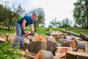 Lumberjack sawing beech logs