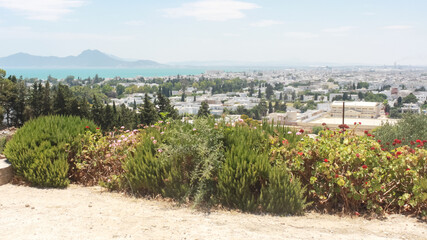 View of the ruins of an ancient Carthaginian city in Tunis	
