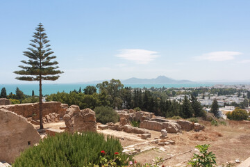 View of the ruins of an ancient Carthaginian city in Tunis	