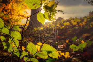 Herbststimmung