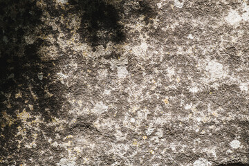 The ancient rusty old stone texture for background and design concepts. the shadow of the foliage on the rock. geology.