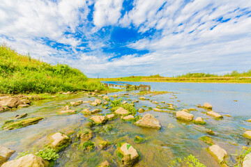 Stony stream with stones covered with moss and algae bloom over the water, stream flowing into the Maas river, vegetation and wild grass, sunny summer day with a blue sky in South Limburg, Netherlands