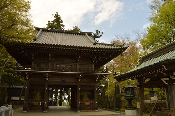 Exploring the temples and nature around Mount Fuji during Cherry Blossom on Honshu Island in Japan