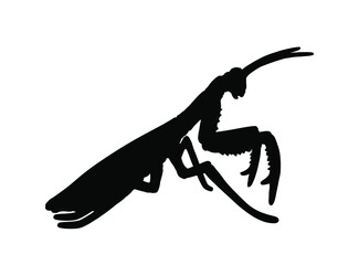 Praying mantis vector silhouette illustration isolated on white background. Exotic insect symbol.