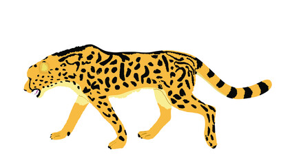 King cheetah vector illustration isolated on white background. Acinonyx jubatus symbol. Big cat, fastest animal on planet. Elegant African safari animal.  