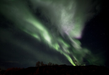 Pink and green aurora