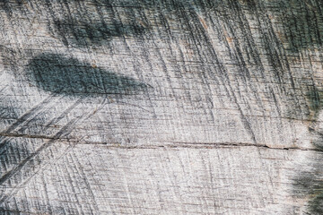 Rustic old wood plank texture for background and design concepts.