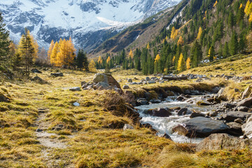 Fototapeta na wymiar herbstliche Berglandschaft in den österreichischen Alpen mit Gletscher im Hintergrund