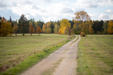 Fototapeta na wymiar Wald im Herbst; Dorf