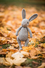 Handmade knitted toy. autumn leaves. friend and friendship