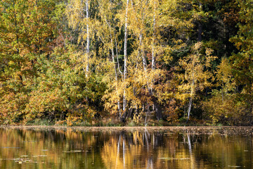 Wald im Herbst; Dorf