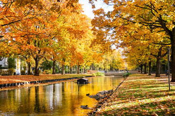 Cologne, Koln, Germany: Beautiful Autumn Fall Foliage Trees on Clarenbachkanal Water Channel