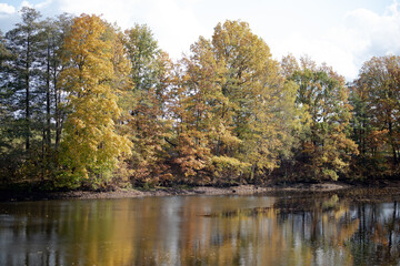 Wald im Herbst; Dorf