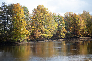 Fototapeta na wymiar Wald im Herbst; Dorf