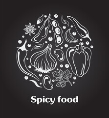 Spice round on chalkboard with copy space. Star anise, soy beans, parsley, garlic, cloves, hot chili pepper, bell pepper, paprika. Seasonings collection. Vector illustration in black and white