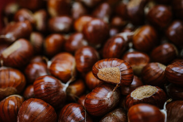 chestnuts. chestnut harvest. Autumn color