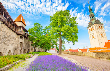 Naklejka premium Tallinn old town view, Estonia