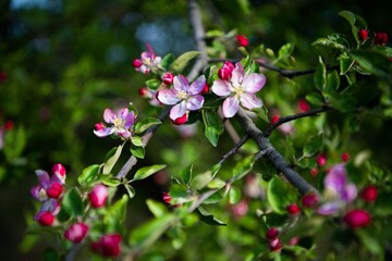 Spring is in the air