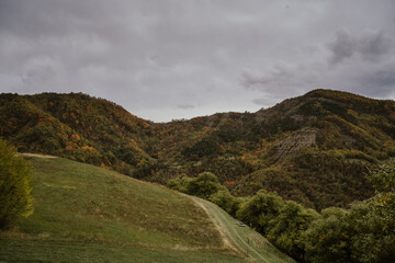 autumnal landscape in an Italian chestnut grove