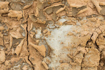 Salty soil