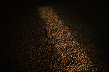 expanse of chestnuts in an artisanal dryer