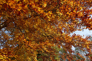 Herbst in Bayern