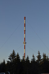 Turm