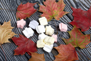 Marshmallows of different colors. They lie on black pine boards. Autumn maple leaves are scattered around.