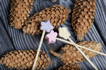 Marshmallows on a stick. Against the background of pine boards in black. Nearby are spruce cones.