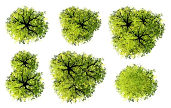 Collection of abstract watercolor green tree top view isolated on white background  for landscape plan and architecture layout drawing, elements for environment and garden, green grass illustration 